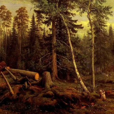 Dreams of Forests
