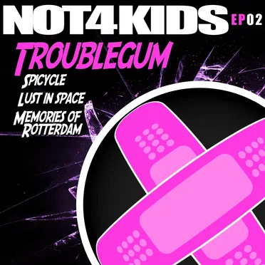 Not4Kids, Vol. 2 by Troublegum - album cover