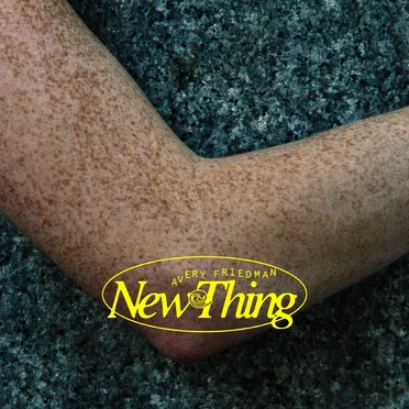 New Thing by Avery Friedman - album cover