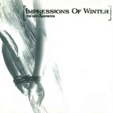the remiXperience by Impressions of Winter - album cover