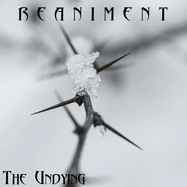 The Undying by Reaniment - album cover