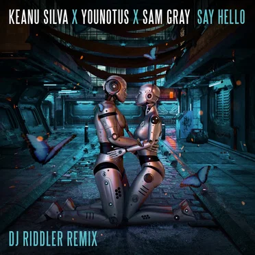 Say Hello (DJ Riddler mix)