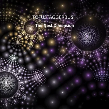 The Next Dimension by Tofustaggerbush - album cover