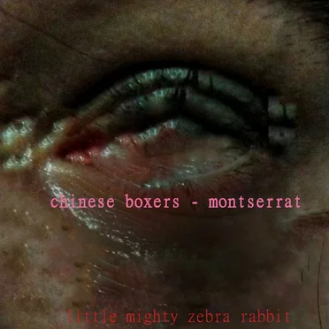 Chinese Boxers / Montserrat by Little Mighty Zebra Rabbit - album cover
