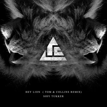 Hey Lion (Tom & Collins remix)