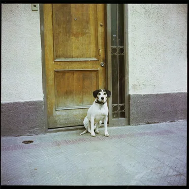 Dos by Les Ondes Martenot - album cover