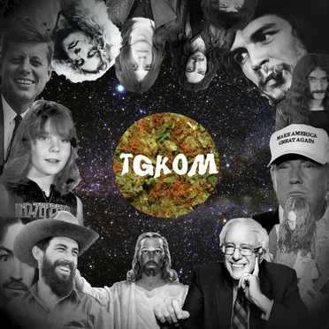 The Good Kind of Mushroom by The Good Kind of Mushroom - album cover