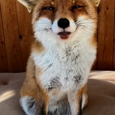 <3