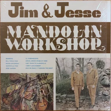 Mandolin Workshop