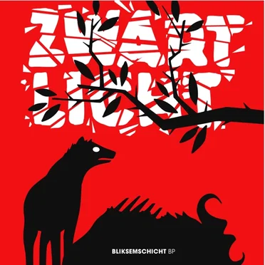 Bliksemschicht by Zwart Licht - album cover