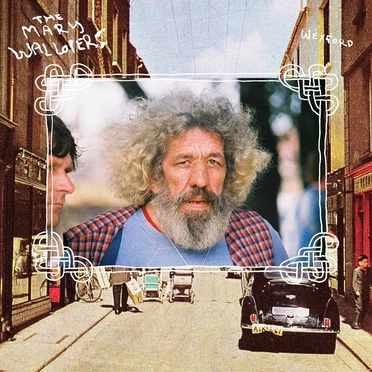 Wexford by The Mary Wallopers - album cover