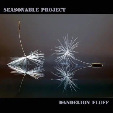 Dandelion Fluff by Seasonable Project - album cover