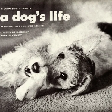 An Actual Story in Sound of a Dog’s Life by Tony Schwartz - album cover