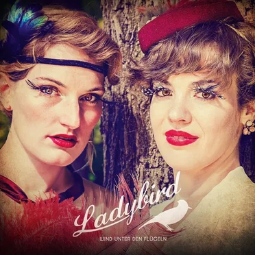 Wind unter den Flügeln by Ladybird - album cover