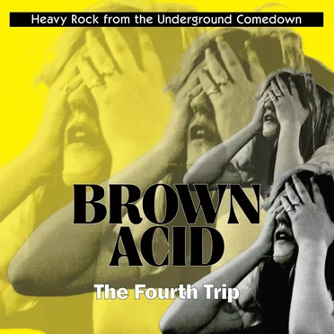 Brown Acid: The Fourth Trip by Various Artists - album cover