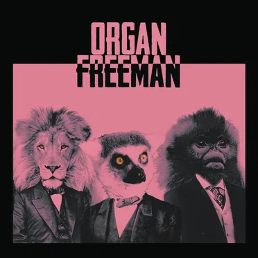 Organ Freeman by Organ Freeman - album cover