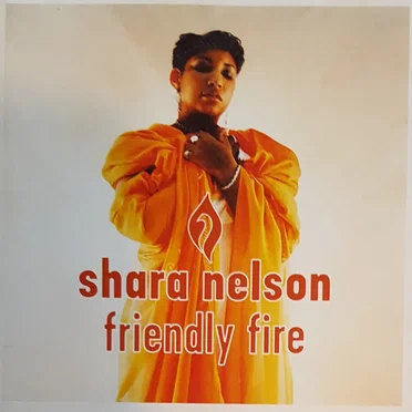 Friendly Fire