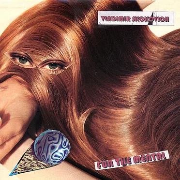 Fun the Mental by Vladimir Skokovich - album cover