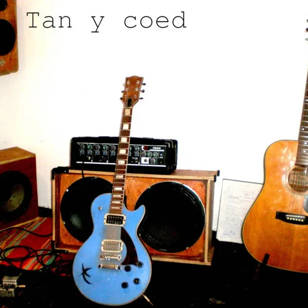 Tan Y Coed