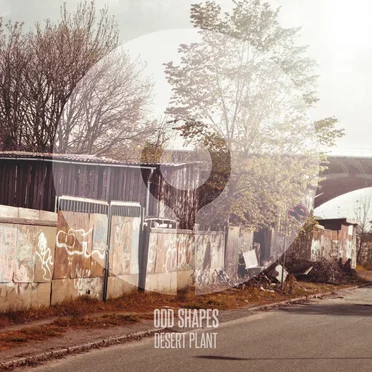 Desert Plant by Odd Shapes - album cover