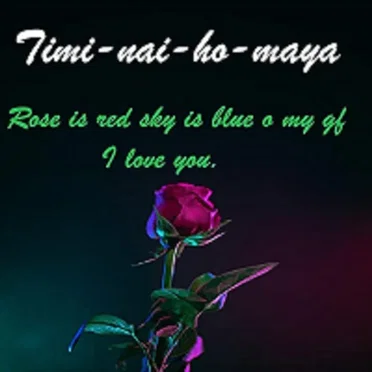 Timi-nai-ho-maya