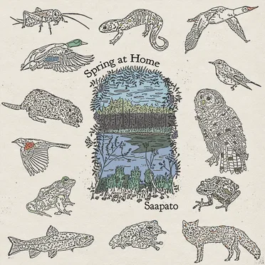 Spring at Home by Saapato - album cover