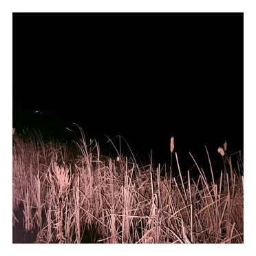 november.