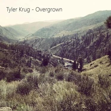 Overgrown by Tyler Krug - album cover