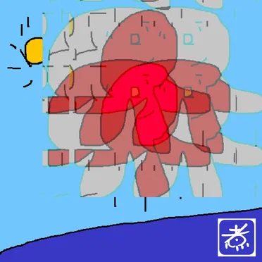 きゃべつ