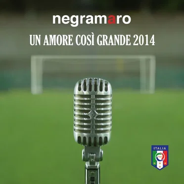 Un amore così grande 2014