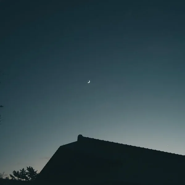 moons