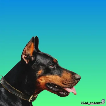 Rawr XD (demo)