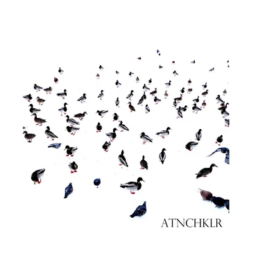 ATNCHKLR