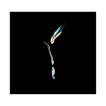 Music for Dancers (live)