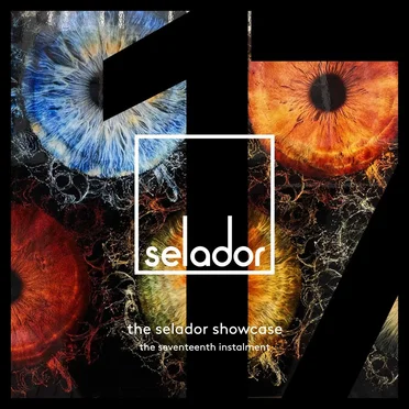 The Selador Showcase - The Seventeenth Instalment by Various Artists - album cover
