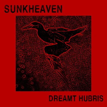 Dreamt Hubris
