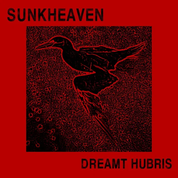 Dreamt Hubris