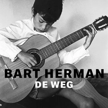 De weg