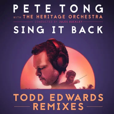 Sing It Back (Todd Edwards remixes)