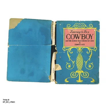 Learning to Be a Cowboy on the Horse That Broke My Arm by Trinity Ace - album cover