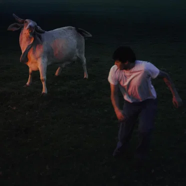 kill the bull by fin peach - album cover
