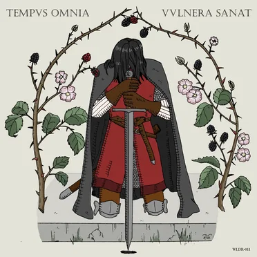 Tempus Omnia Vulnera Sanat by Weldorin - album cover