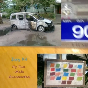 Пу Тин-Жаба Фиолетовая