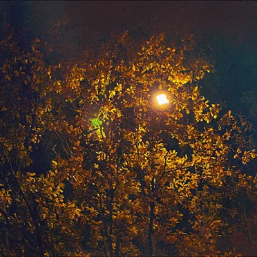 поздней ночью