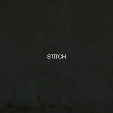 Stitch by Exploring Birdsong - album cover