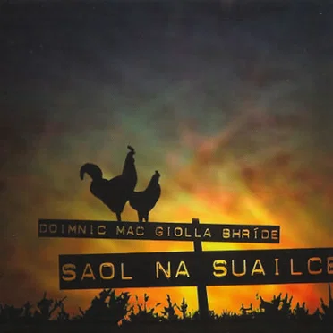 Saol na Suailce