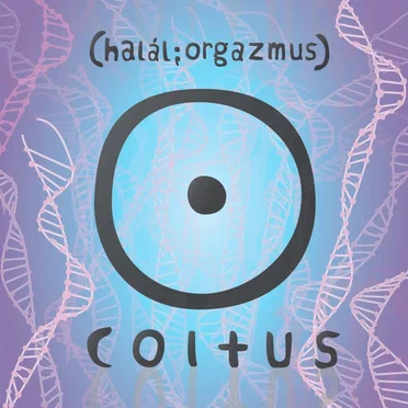 Coitus