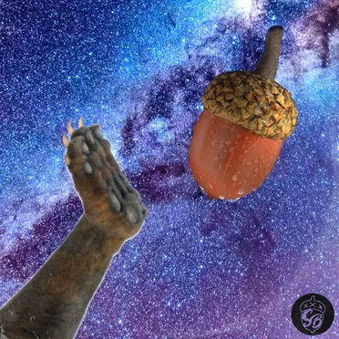 Omit The Feeble Meat