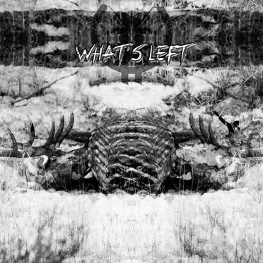 What's Left by Lights Out, God Help Me - album cover