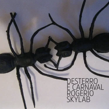 Rogério Skylab